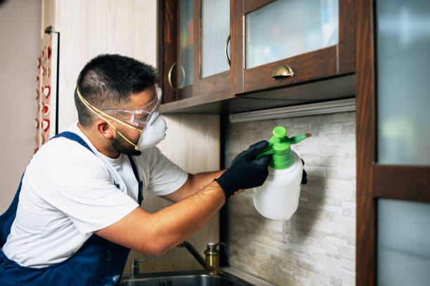 Best Pest Removal Services  in Gladwin, MI