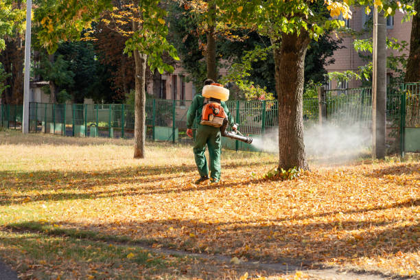 Best Rodent Control Near Me  in Gladwin, MI