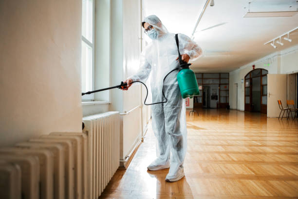 Best Insect Control  in Gladwin, MI